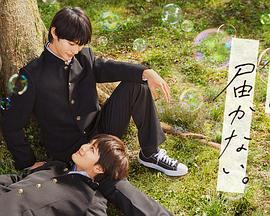 千金归来电视剧50全集